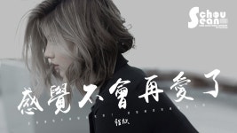 感觉不会再爱了 - 程欣 | Shazam