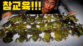 황소개구리 숯불구이 - 202402~202508 만화 갤러리