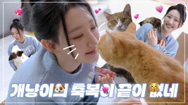 휘서 유기견센터 봉사활동 @포캣멍센터 - 하이키(H1-KEY) 마이너 갤러리