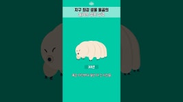 네이버 인플루언서 [네이버 인플루언서] 지구 최강 생물 물곰의 놀라운 생존 능력 #은잡지 #shorts