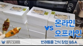 네이버 인플루언서 [네이버 인플루언서] 강아지수제간식창업 온라인창업을 할까요? 오프라인 창업을 할까요?