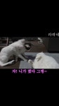 라하네tv - YouTube