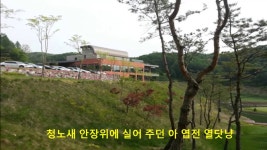 엽전열닷냥채빈님 | Doovi 엽전열닷냥채빈님