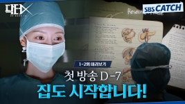 닥터X 첫방송 D-7 1-2회 미리보기 스페셜 - 김지원 마이너 갤러리 닥터X 첫방송 D-7  1-2회 미리보기 스페셜 - 김지원 마이너 갤러리