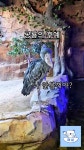 매설 - YouTube