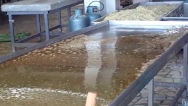 sugar cooling table 1 | Doovi sugar cooling table 1