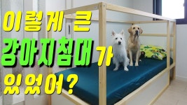 가구조립하는남자 유튜브 채널 분석 보고서 - NoxInfluencer