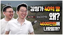 네이버 인플루언서 [네이버 인플루언서] 20번 유찰 후 감정가 대비 1%에 나온 토지 경매