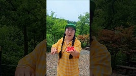 네이버 인플루언서 [네이버 인플루언서] 양평 1067펜션 인심좋은 사장님 덕분에 보리수열매 먹어봤당 보기보다 충격적인 맛