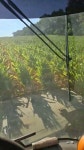 JM Farm & Cattle - YouTube