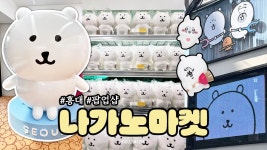 팝업 프리뷰 영상 - 농담곰 마이너 갤러리
