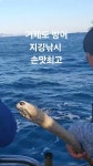 석막리꽃농장 (원예치유활동가) - YouTube