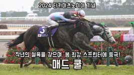 핫산) 매드 쿨 - 24 타카마츠노미야 기념 「코 차이의 리벤지」 - 우마무스메 마이너 갤러리