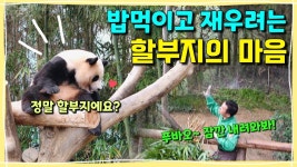 이 영상 보는데 왜 이리 눈물이 나지 - 바오패밀리 미니 갤러리