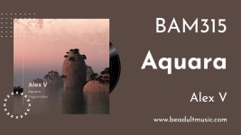 Aquara - Alex V: 노래 가사, 뮤직 비디오 및 콘서트
