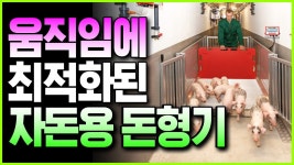 자돈용 돈형기-고정식/이동식 겸용[바로텍 독일 MEIER 양돈용 돼지저울] - YouTube 자돈용 돈형기-고정식/이동식 겸용[바로텍 독일 MEIER... 