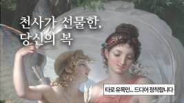 타로추천 - 타로카드 갤러리