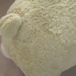 shop COCODIDI - YouTube shop COCODIDI