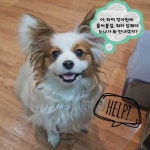 Hansoul[한솔기획] - YouTube