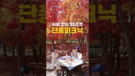 네이버 인플루언서 [네이버 인플루언서] 사람없이 단풍피크닉 가능한곳 #세종여행 #국내여행 #원수산단풍 #단풍명소