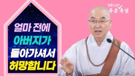 심심하지? - 역학 갤러리