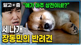 똥민이네 견공 - 막장 갤러리