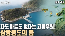상왕등도 섬 - 교통 마이너 갤러리
