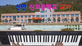 네이버거리뷰 전남신안 신의중학교, 신의파출소 - 교통 마이너 갤러리