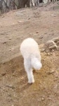 신나게놀자 - YouTube