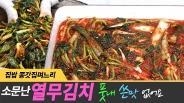 네이버 인플루언서 [네이버 인플루언서] 소문난 열무김치 쓴맛 풋내 없이 담는 비법