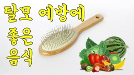 생활정보통 유튜브 채널 분석 보고서 - NoxInfluencer