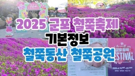 네이버 인플루언서 [네이버 인플루언서] 2025 군포 철쭉축제