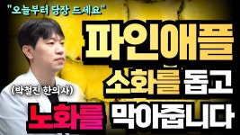 파인애플 먹어야 하는 이유 - LGBT 갤러리