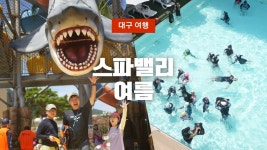 네이버 인플루언서 [네이버 인플루언서] 4K  스파밸리 여름시즌 워터파크 브이로그