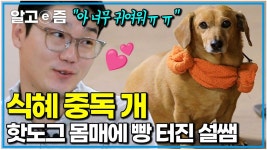 ㅋㅋㅋㅋㅋ - 노래연습 마이너 갤러리