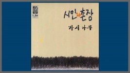 카르마의 근원의식. 가시나무.시인과 촌장. - 미국 정치 마이너 갤러리