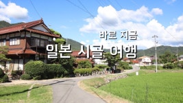 네이버 인플루언서 [네이버 인플루언서] 위안이 필요한 지금, 일본 시골 여행 