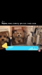 바우스쿨 - YouTube