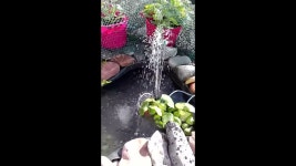 Mark Rollinson - YouTube