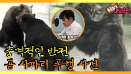 남갤러들아 너네한테 추천해주고 싶은 영상 있음 - 역학 갤러리