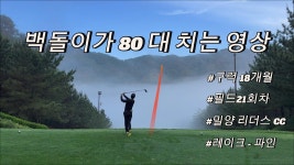 우연히 찾았는데 살살 가볍게 잘치네 - 골프 미니 갤러리