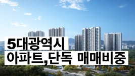 네이버 인플루언서 [네이버 인플루언서] 24년도 5대광역시 아파트와 단독주택 매매비중은 어떻게 되나?