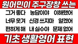 네이버 인플루언서 [네이버 인플루언서] [영어회화] 영어가 처음이라면 이것부터 보세요 왕기초 영어 표현｜2탄