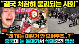 중궈 정부가 4천만원 투자한 돼지농장을 폐쇄 - 미국 정치 마이너 갤러리