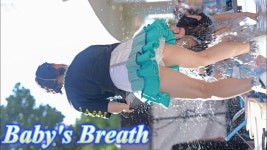 dd - 치킨 갤러리