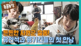 동물농장 유튭 네캐 가즈아!! - 유연석 갤러리