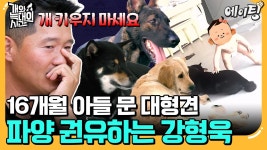 개념없이 개키우는 영상 너무 짜증난다ㅠ - 역학 갤러리