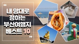 네이버 인플루언서 [네이버 인플루언서] 조끄띠의 부산여행지