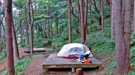 네이버 인플루언서 [네이버 인플루언서] 1박에 6,000원! 1인 샤워실, 입퇴실 12시! 잣나무 숲속 캠핑, 축령산 자연휴양림