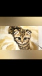 ArtFavoritePictures - YouTube